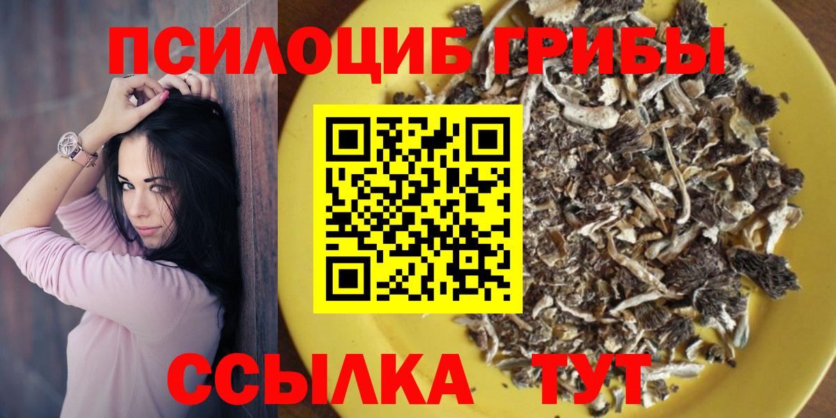 Галлюциногенные грибы Cubensis Баксан